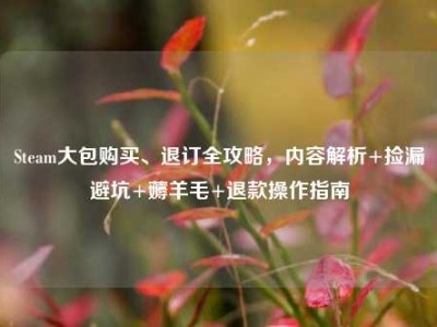 Steam大包购买、退订全攻略，内容解析+捡漏避坑+薅羊毛+退款操作指南