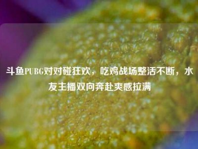 斗鱼PUBG对对碰狂欢，吃鸡战场整活不断，水友主播双向奔赴爽感拉满