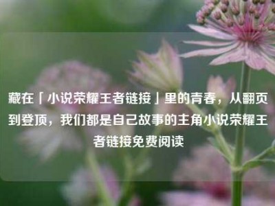 藏在「小说荣耀王者链接」里的青春，从翻页到登顶，我们都是自己故事的主角小说荣耀王者链接免费阅读