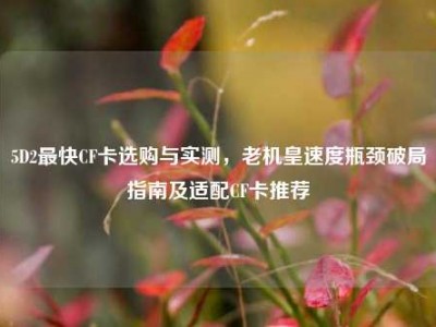 5D2最快CF卡选购与实测，老机皇速度瓶颈破局指南及适配CF卡推荐