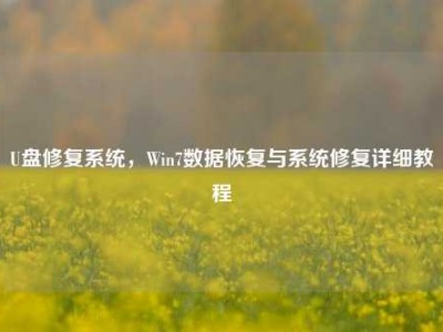 U盘修复系统，Win7数据恢复与系统修复详细教程