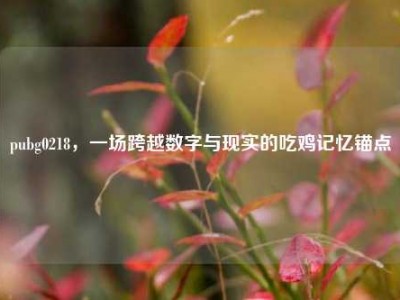 pubg0218，一场跨越数字与现实的吃鸡记忆锚点
