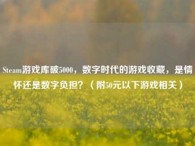 Steam游戏库破5000，数字时代的游戏收藏，是情怀还是数字负担？（附50元以下游戏相关）