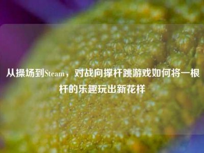 从操场到Steam，对战向撑杆跳游戏如何将一根杆的乐趣玩出新花样