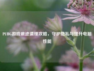 PUBG游戏痕迹清理攻略，守护隐私与提升电脑性能