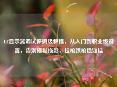CF显示器调试保姆级教程，从入门到职业级设置，告别模糊拖影，拉枪跟枪稳如挂