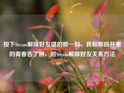 按下Steam解除好友键的那一刻，我和那段开黑的青春告了别，附Steam解除好友关系方法