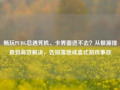 畅玩PUBG总遇死机、卡界面进不去？从根源排查到高效解决，告别落地成盒式游戏事故
