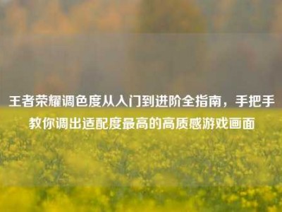 王者荣耀调色度从入门到进阶全指南，手把手教你调出适配度最高的高质感游戏画面