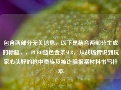 包含两部分无关信息，以下是结合两部分生成的标题，，PUBG蓝色金条SLR，从战场传说到玩家心头好的枪中贵族及被诈骗报案材料书写样本