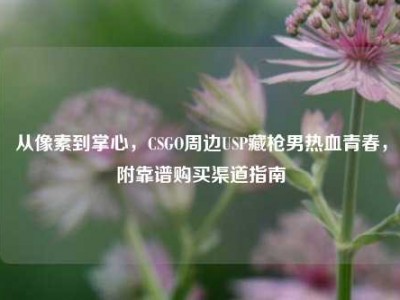 从像素到掌心，CSGO周边USP藏枪男热血青春，附靠谱购买渠道指南