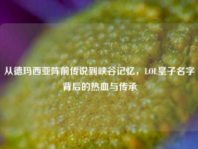 从德玛西亚阵前传说到峡谷记忆，LOL皇子名字背后的热血与传承
