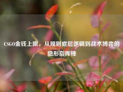 CSGO金钱上限，从规则底层逻辑到战术博弈的隐形指挥棒