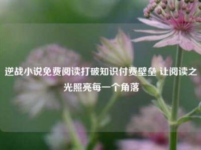 逆战小说免费阅读打破知识付费壁垒 让阅读之光照亮每一个角落