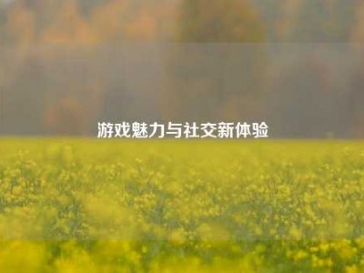 游戏魅力与社交新体验