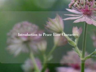 Introduction to Peace Elite Characters