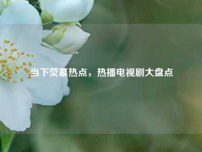 当下荧幕热点，热播电视剧大盘点
