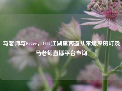 马老师与Faker，LOL江湖里两盏从未熄灭的灯及马老师直播平台查询