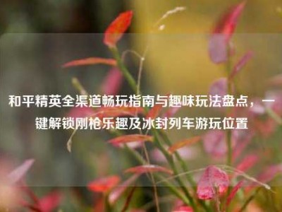 和平精英全渠道畅玩指南与趣味玩法盘点，一键解锁刚枪乐趣及冰封列车游玩位置