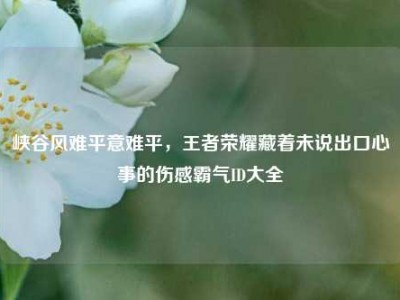峡谷风难平意难平，王者荣耀藏着未说出口心事的伤感霸气ID大全