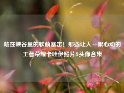 藏在峡谷里的软萌暴击！那些让人一眼心动的王者荣耀卡哇伊照片&头像合集