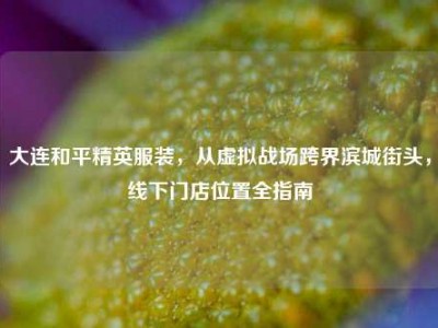 大连和平精英服装，从虚拟战场跨界滨城街头，线下门店位置全指南