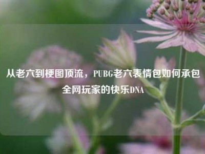 从老六到梗图顶流，PUBG老六表情包如何承包全网玩家的快乐DNA