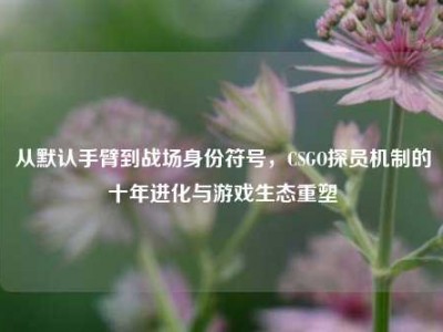 从默认手臂到战场身份符号，CSGO探员机制的十年进化与游戏生态重塑