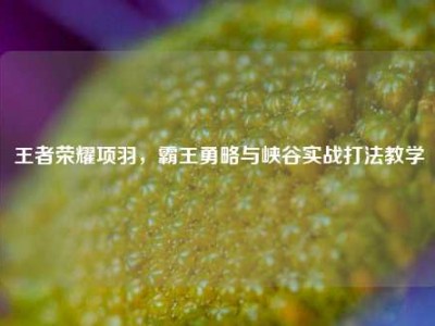 王者荣耀项羽，霸王勇略与峡谷实战打法教学