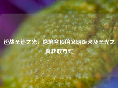 逆战圣迹之光，绝境穹顶的文明炬火及圣光之翼获取方式