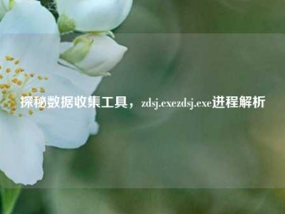 探秘数据收集工具，zdsj.exezdsj.exe进程解析