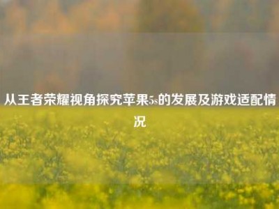 从王者荣耀视角探究苹果5s的发展及游戏适配情况