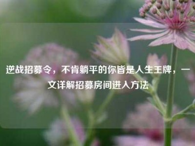 逆战招募令，不肯躺平的你皆是人生王牌，一文详解招募房间进入方法