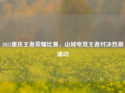 2025重庆王者荣耀比赛，山城电竞王者对决热潮涌动