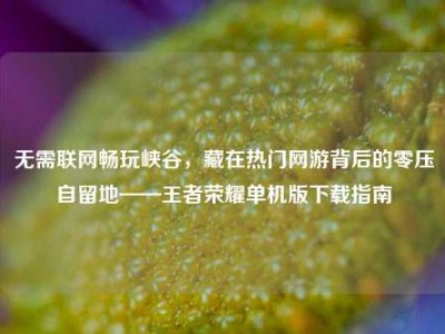 无需联网畅玩峡谷，藏在热门网游背后的零压自留地——王者荣耀单机版下载指南