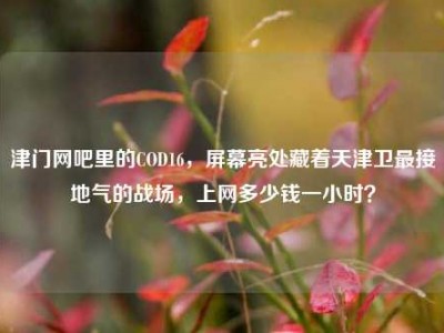 津门网吧里的COD16，屏幕亮处藏着天津卫最接地气的战场，上网多少钱一小时？