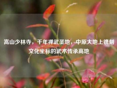嵩山少林寺，千年禅武圣地，中原大地上镌刻文化坐标的武术传承高地