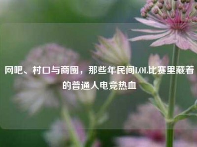 网吧、村口与商圈，那些年民间LOL比赛里藏着的普通人电竞热血