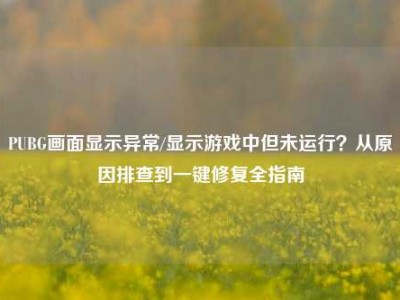 PUBG画面显示异常/显示游戏中但未运行？从原因排查到一键修复全指南