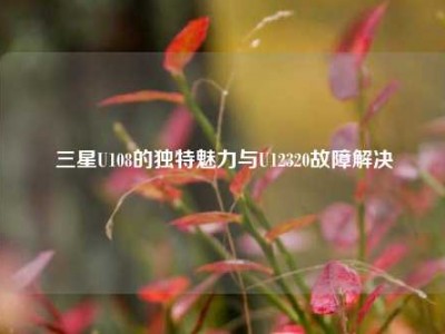 三星U108的独特魅力与U12320故障解决