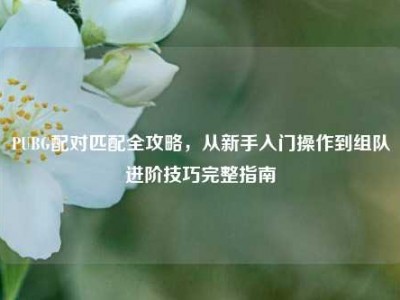PUBG配对匹配全攻略，从新手入门操作到组队进阶技巧完整指南