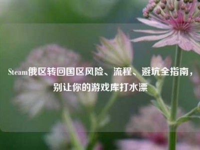Steam俄区转回国区风险、流程、避坑全指南，别让你的游戏库打水漂