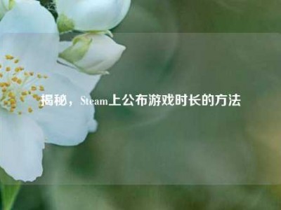 揭秘，Steam上公布游戏时长的方法
