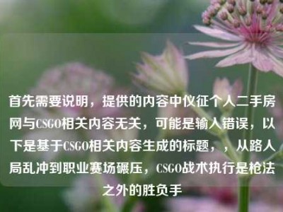 首先需要说明，提供的内容中仪征个人二手房网与CSGO相关内容无关，可能是输入错误，以下是基于CSGO相关内容生成的标题，，从路人局乱冲到职业赛场碾压，CSGO战术执行是枪法之外的胜负手