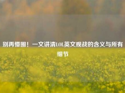 别再懵圈！一文讲清LOL英文观战的含义与所有细节