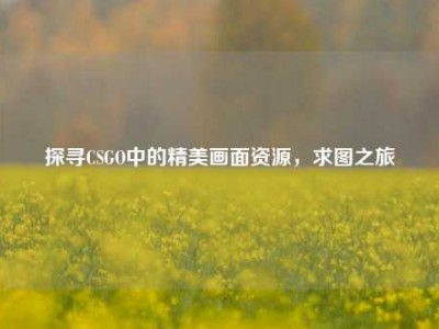 探寻CSGO中的精美画面资源，求图之旅