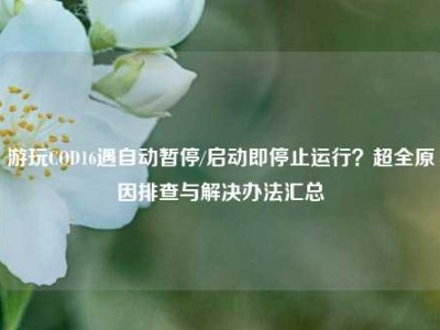 游玩COD16遇自动暂停/启动即停止运行？超全原因排查与解决办法汇总