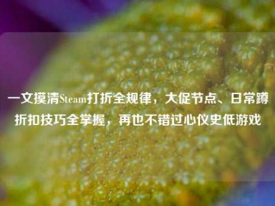 一文摸清Steam打折全规律，大促节点、日常蹲折扣技巧全掌握，再也不错过心仪史低游戏