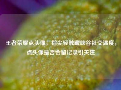 王者荣耀点头像，指尖轻触藏峡谷社交温度，点头像是否会留记录引关注