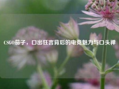 CSGO茄子，口出狂言背后的电竞魅力与口头禅